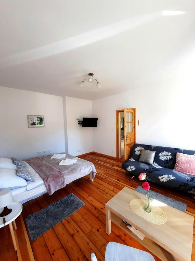 Apartament Albion Шклярска-Поремба Экстерьер фото